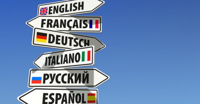 Foreign Language Courses